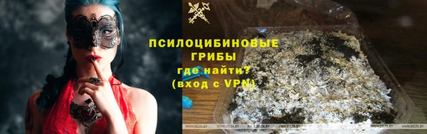 спиды Аркадак