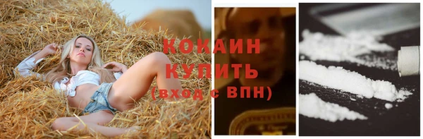 гашик Арсеньев
