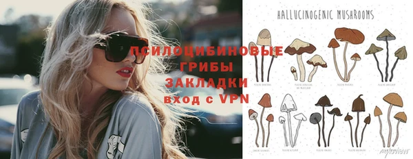 спиды Аркадак